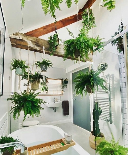 Jungle Bathroom Ideas 12