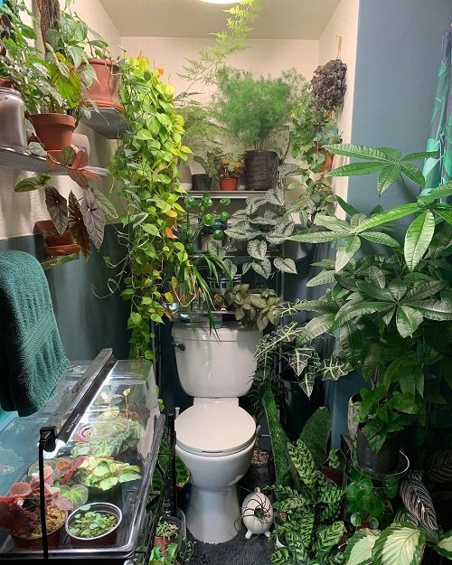 Jungle Bathroom Ideas 11