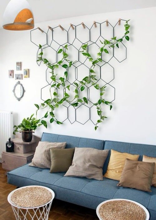 21 Fabulous DIY Trellis Plant Wall Ideas 4