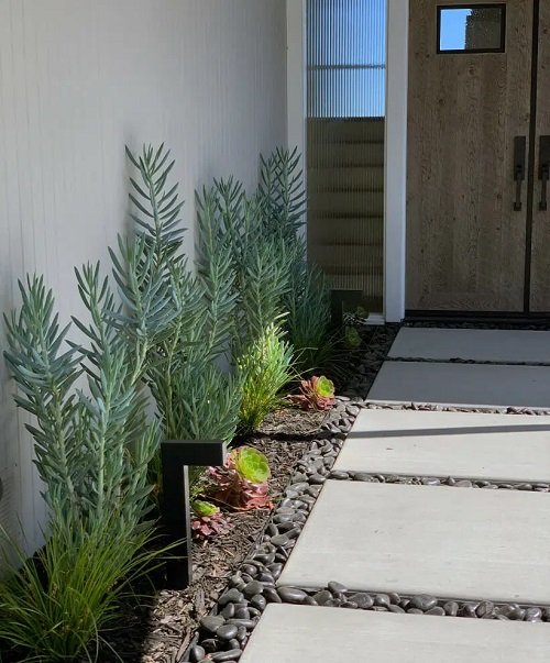 30 Modern Succulent Front Door Ideas | Balcony Garden Web