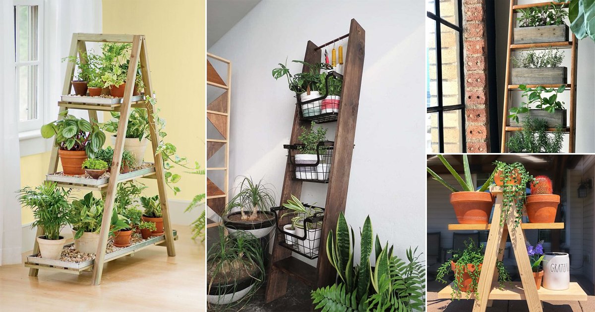 20 Functional Indoor Ladder Planter Ideas | Balcony Garden Web
