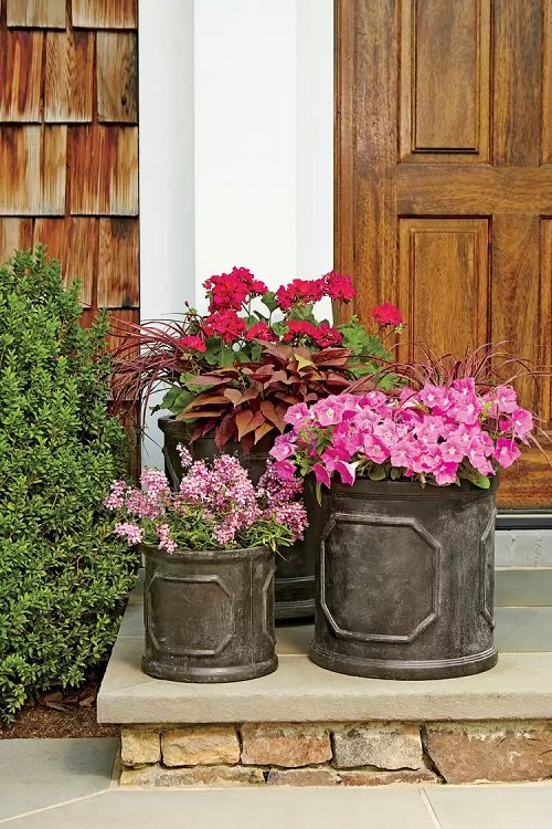 Plant Ideas to Spruce Up Your Entry 39