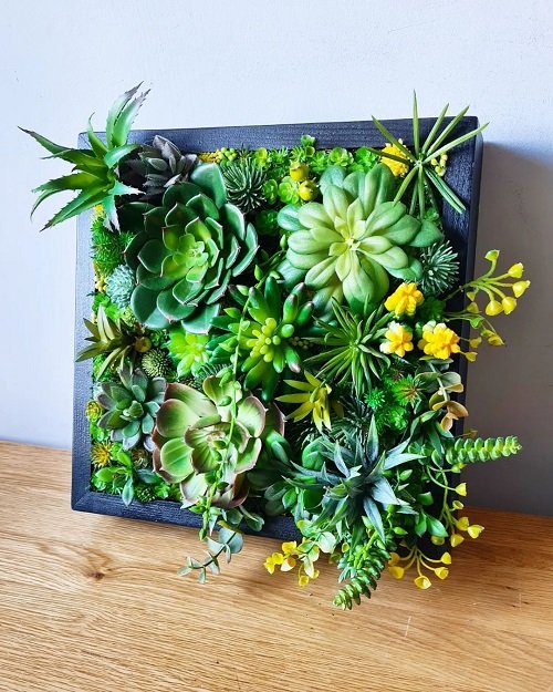 40 Amazing Plants as Picture Frame Ideas 17