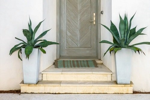 Modern Succulent Front Door Ideas 26