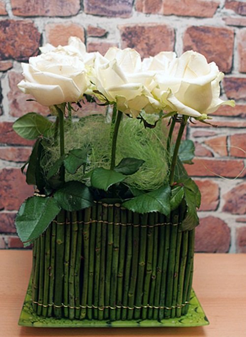 Wrapped Potted Plant Centerpieces and Gift Ideas 2
