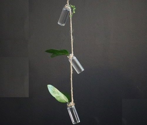 Miniature Glass Jar Hanging Planters