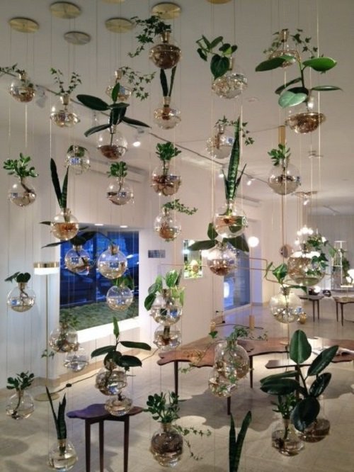 Modern Hanging Glass Planter Ideas 