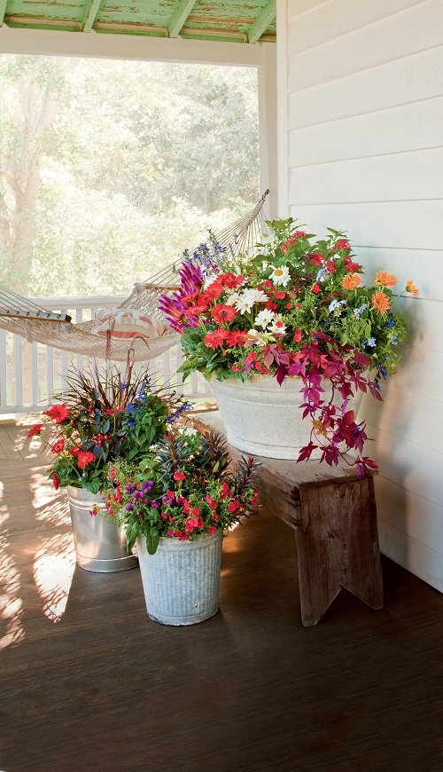38 Plant Ideas to Spruce Up Your Entry 18