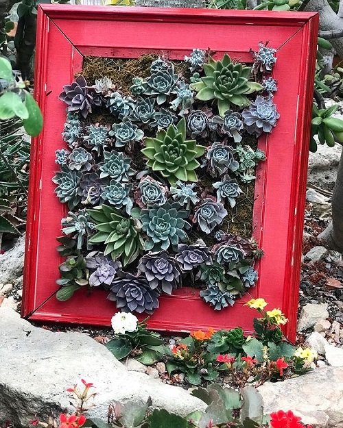 40 Amazing Plants as Picture Frame Ideas 13
