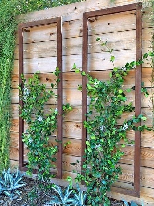 21 Fabulous DIY Trellis Plant Wall Ideas 10