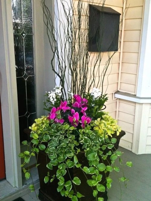Planters for the Front Porch for Winter 24