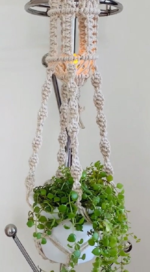 DIY Plant Hangers from Unusual Items 5