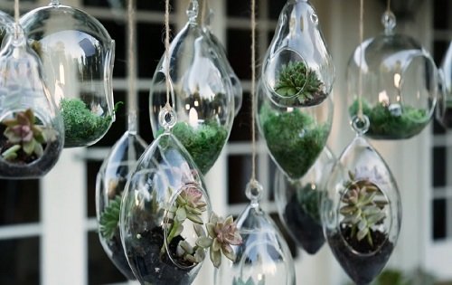 DIY Plant Hangers from Unusual Items 7