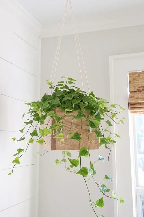 DIY Plant Hangers from Unusual Items 3