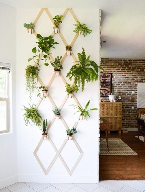 21 Fabulous DIY Trellis Plant Wall Ideas