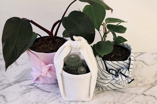 Wrapped Potted Plant Centerpieces and Gift Ideas 6