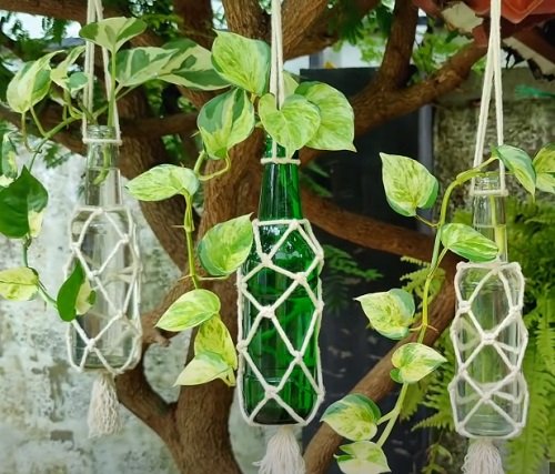 Modern Hanging Glass Planter Ideas 42