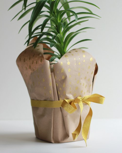 Wrapped Potted Plant Centerpieces and Gift Ideas 3