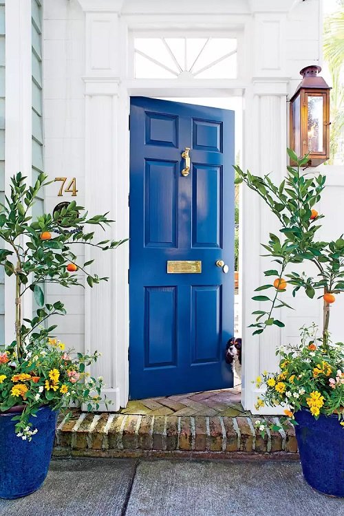 Plant Ideas to Spruce Up Your Entry 45