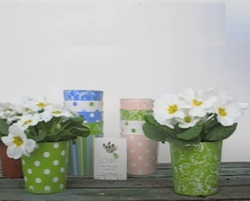 Wrapped Potted Plant Centerpieces and Gift Ideas 12