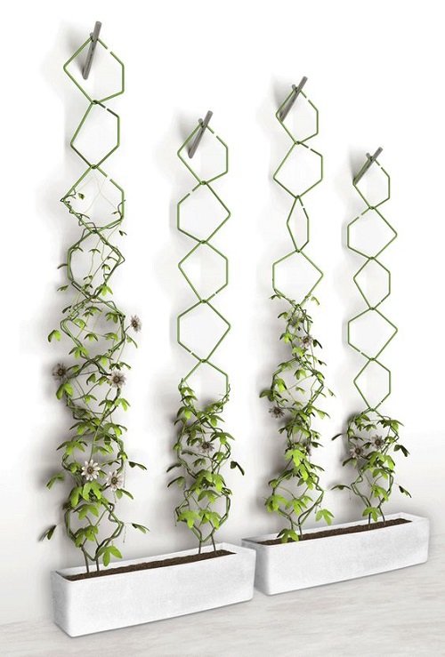 21 Fabulous DIY Trellis Plant Wall Ideas 2