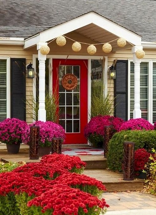 Plant Ideas to Spruce Up Your Entry 12