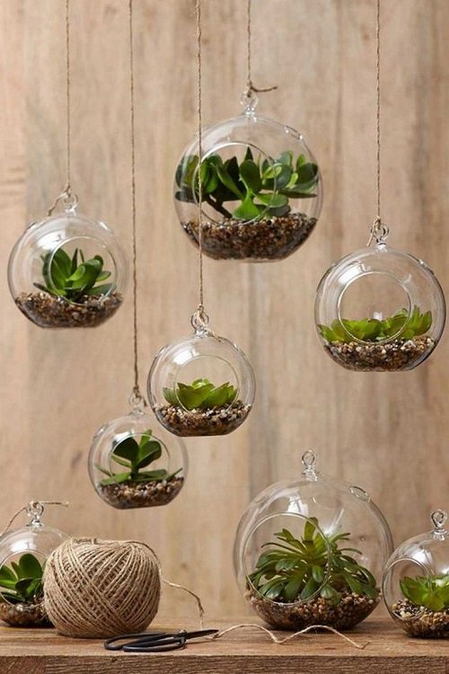 Modern Hanging Glass Planter Ideas 3