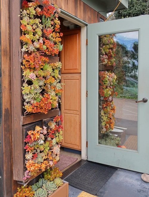 Modern Succulent Front Door Ideas 3