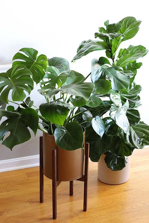 27 DIY Plant Risers for Indoor Plants to Make a Statement 2