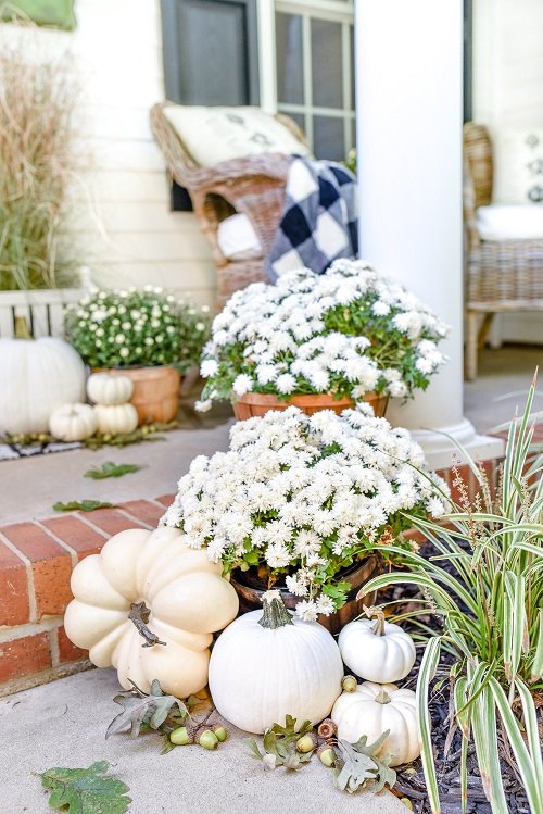 Landscaping with Mums Ideas 10