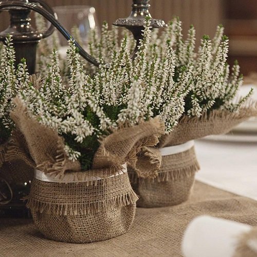 Wrapped Potted Plant Centerpieces and Gift Ideas 15