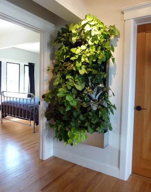 40 Amazing Plants as Picture Frame Ideas 2