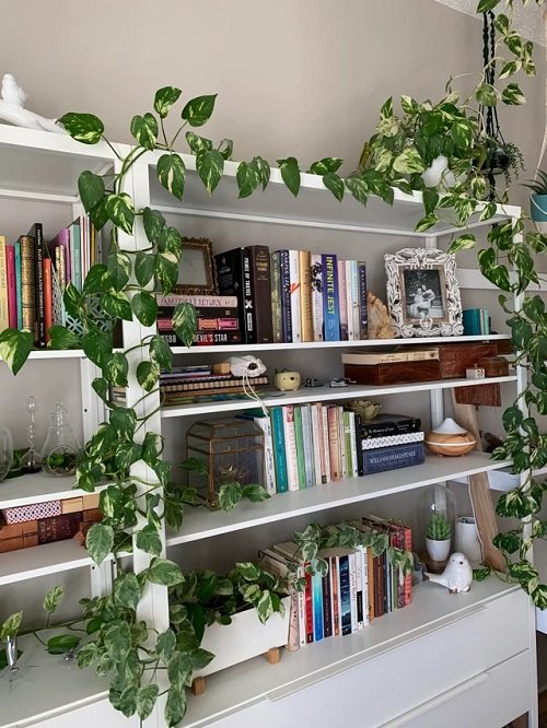 Hanging Indoor Vines as a Garland Ideas