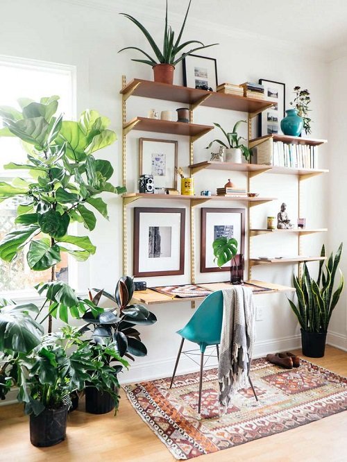 Make a Lush Indoor Garden at Home