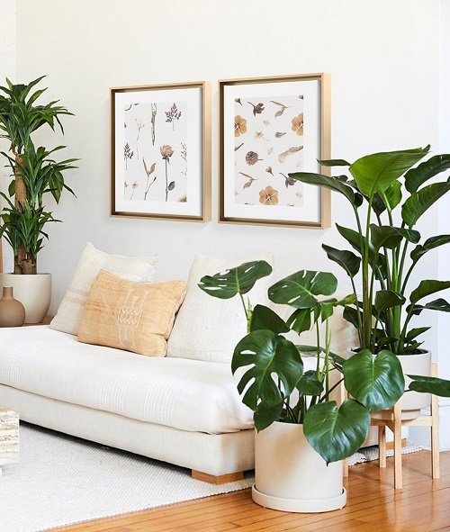 Rules for Decorating with Houseplants 10