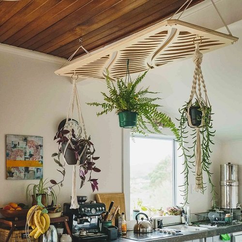 Make a Lush Indoor Garden at Home 3