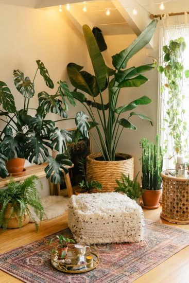 12 Best Ways to Make a Lush Indoor Garden at Home