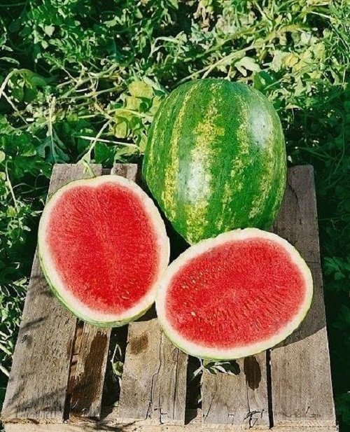 Different Types of Watermelons 15