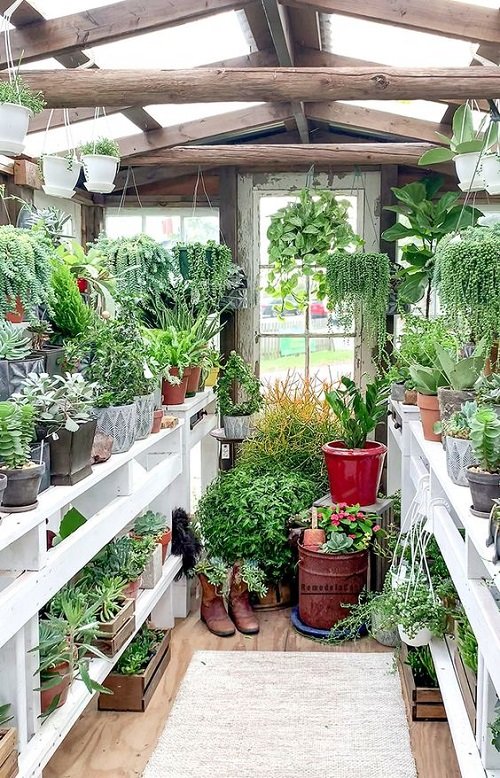 Greenhouse Shelving Ideas 8