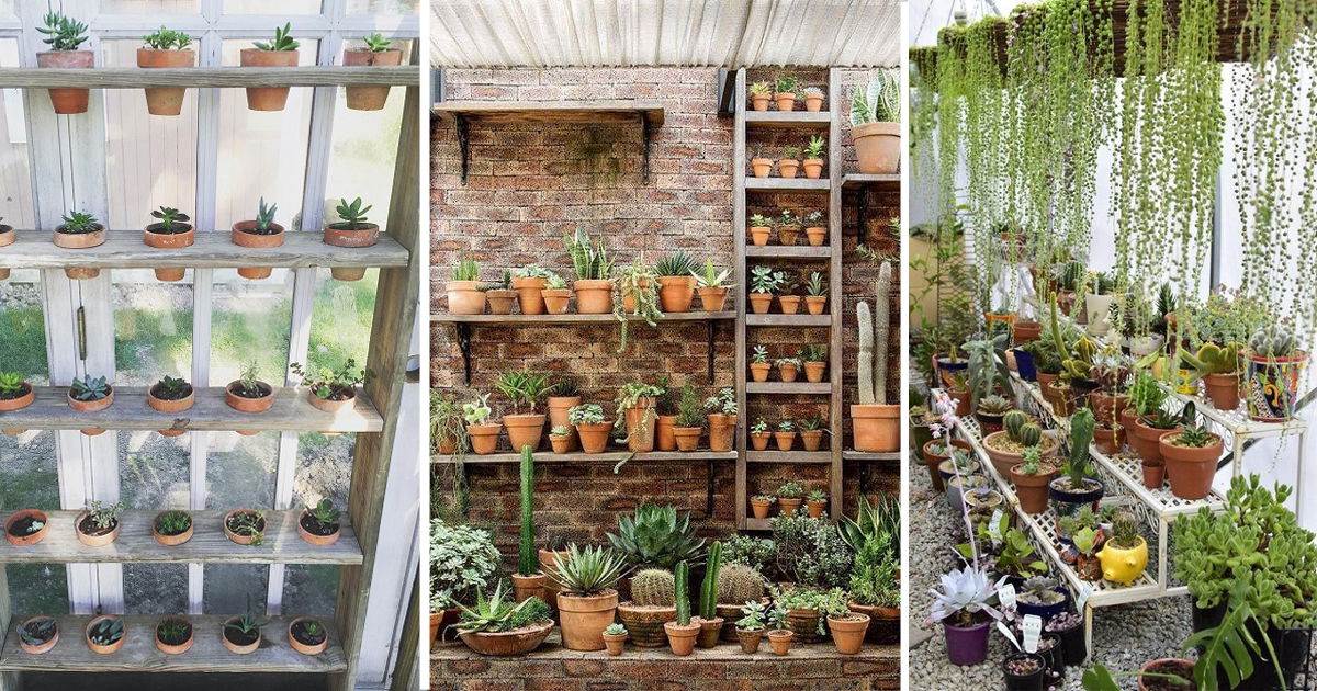 22 Greenhouse Shelving Ideas Best Greenhouse Shelf to Create Space