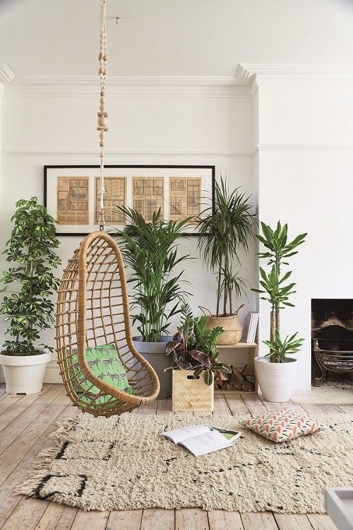 Ways to Decorate with Indoor Plants 6