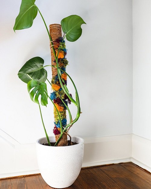 Indoor Plant Stake Ideas 7