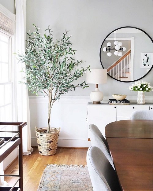 Tall Plants for Living Room Corner Ideas 40