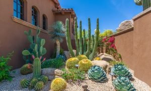 30 Side Yard Desert Landscaping Ideas | Balcony Garden Web