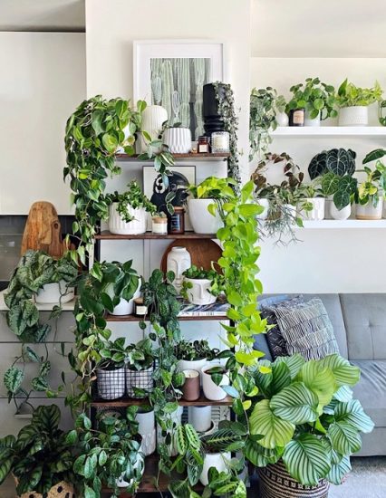 12 Best Ways to Make a Lush Indoor Garden at Home