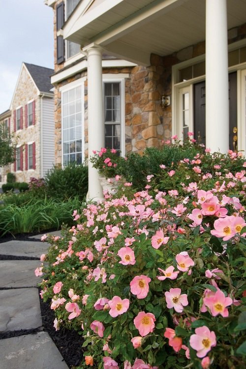 Flower Bed Ideas for Front of House 10