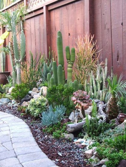 30 Side Yard Desert Landscaping Ideas – Best Mystic Zone