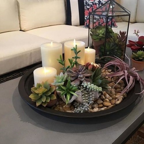 Indoor Succulent Garden Ideas 33