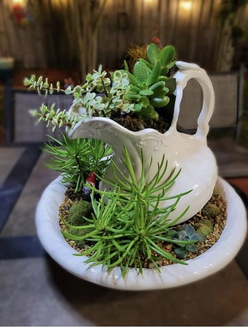 Indoor Succulent Garden Ideas 40