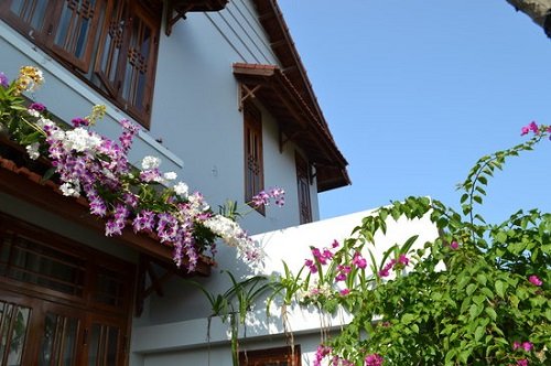 Balcony Orchid Garden 1